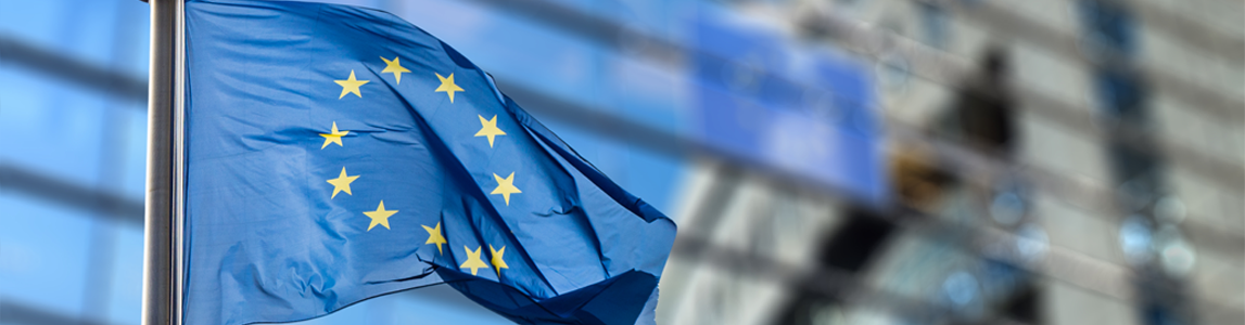 Crisis, Constitutionalism, Governance in Europe